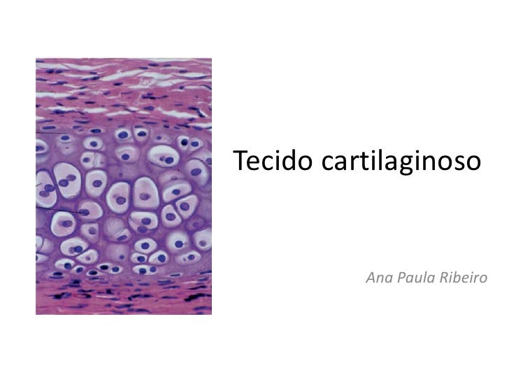 tecido cartilaginoso